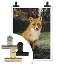 Póster fox 01