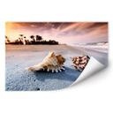 Poster autocollant - W - Paradis de Coquillages