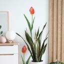Muursticker Rode Tulp
