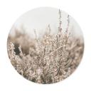 Plakat Annie - Grass