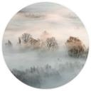 Galimberti - Niebla invernal - fotomural redondo - Papel pintado autoadhesivo/no tejido