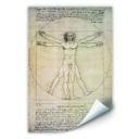 Zelfklevende Poster - da Vinci - Mens van Vitruvius