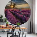 Fototapet - Rundt Lavendelblomster i Provence - vliesetapet/selvklæbende non-woven tapet