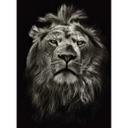 Papier peint photo Lion - 192x260 cm