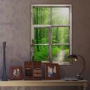 3D Wallsticker vindue shabby - Sunny Forest