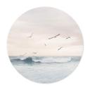 Póster Sisi & Seb - Mágico cielo nocturno junto al mar - Redondo