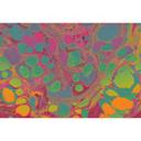 Marmoreringstapet fototapet i klare neonfarver - non-woven tapet