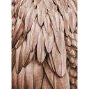 Livingwalls papier peint photo ARTist Feathers cuivre
