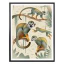 Póster Marrón - Monos ardilla