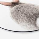 Tableau sur alu-Dibond rond Sisi & Seb - bas de lapin