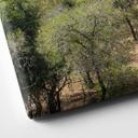 Lienzo Paisaje de sabana en África - Hugonnard