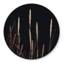 Tableau sur verre Kubistika - champs d'or