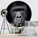Gorilla Fototapet - Rund - vliesetapet/selvklæbende non-woven tapet