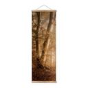Póster de tela Bosque en la bruma matinal - Maier