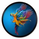 Póster Almawash - El loro y el juego de colores - Redondo