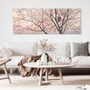 Akrylbillede Coleman - Primavera - Panorama