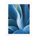 Póster Wechsler - Plantas Naturaleza muerta Agave