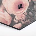 Hexagone - Alu-Dibond Delgado - Coquelicot rose