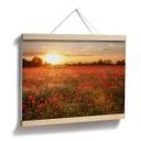Poster - Champ de coquelicots au coucher de soleil