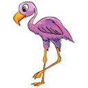 Flot Flamingo