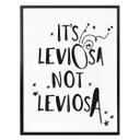 Póster - Es Leviosa