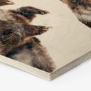 Hexagon Hout Angyalosi - Wild Fight