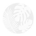 Akrylbillede, vinduesbillede til at hænge op Jungle leaves - Round