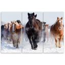 3 stykke lærredsprint, Quarter Horses galopperende vinter
