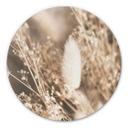 Tableau sur alu-Dibond Annie - Faisceau d'herbes - Rond
