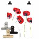 Plakat - Disher - Valmuer