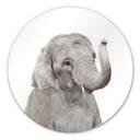 Tableau en alu-Dibond Sisi &Seb - Bébé éléphant - Rond