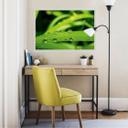 Poster autocollant - W - Nature 5
