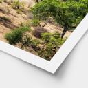 Póster Paisaje de sabana en África - Hugonnard