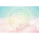 Architects Paper Papier peint photo Atelier 47 Flower of Life 