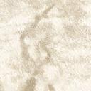 Papier peint intissé Astrid Whispering Woods beige crème métallique - papier peint forêt arbres aqua