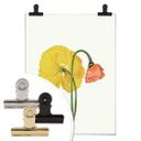 Póster La flor roja y amarilla
