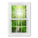 Akrylbillede 3D-vindue - Sunny Forest
