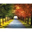 Papier peint photo Automne - 336x260 cm