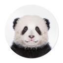 Póster Sisi & Seb - Panda bebé - Redondo