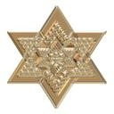 Muursticker Metallic Ster Goud