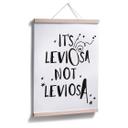 Póster - Es Leviosa