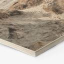Hexagone - Bois Découverte de la nature dans les pittoresques dunes de la Baltique