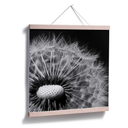 Poster - Dandelion