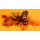Architects Paper Papier peint photo Atelier 47 Octopus Design motif animalier