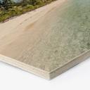 Stampa su legno esagonale della spiaggia della palma nei mari del sud - Colombo