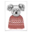 Plakat - Solti - Koala om vinteren