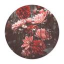 Plakat Annie - Summer Flowers