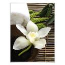Póster Bienestar Orquídea