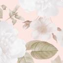 Fototapet Boho-illustration med blomster og frugter - UN Designs