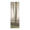 Póster de tela Carozzi - Bosque de cuento de hadas en la bruma matinal - Panorama